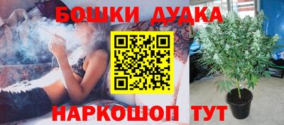 гидра Бузулук