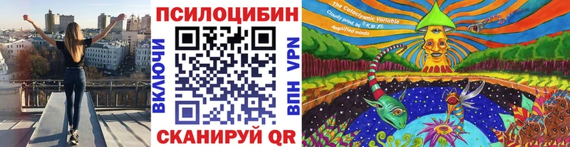 продажа наркотиков  Выкса  Псилоцибиновые грибы Cubensis 