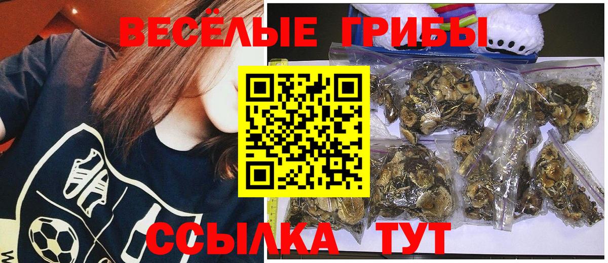Галлюциногенные грибы MAGIC MUSHROOMS  купить   Выкса  Вход с VPN  Галлюциногенные грибы Psilocybine cubensis 
