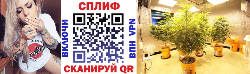 Шишки марихуана Amnesia  hydra ссылки  Выкса  где купить наркотик 